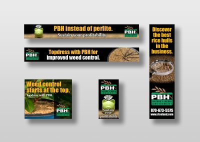 Riceland PBH Digital Ads