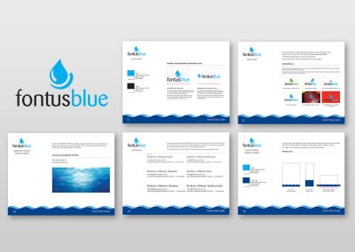 Fontus Blue Brand Guidelines