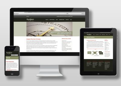 Apogean Website Development